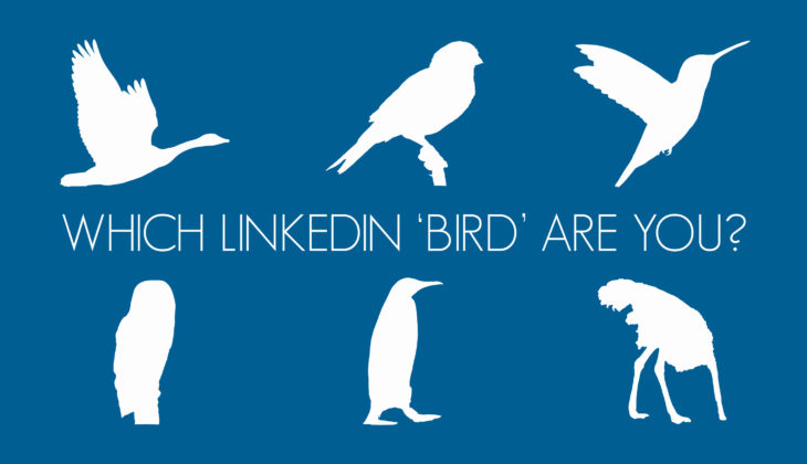 Which of the 6 LinkedIn ‘Birds’ Are You?